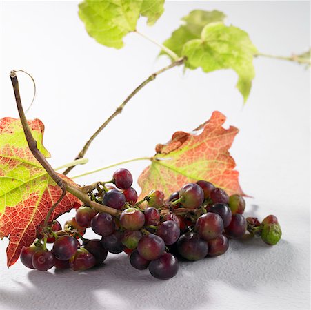 red grape - Red grapes with leaves Stock Photo - Premium Royalty-Free, Code: 659-02212545