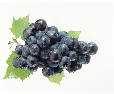 Black grapes with vine leaves and dew Stock Photo - Premium Royalty-Free, Code: 659-03524102