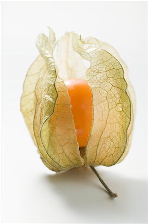 Physalis with husk (close-up) Stock Photo - Premium Royalty-Free, Code: 659-03524905