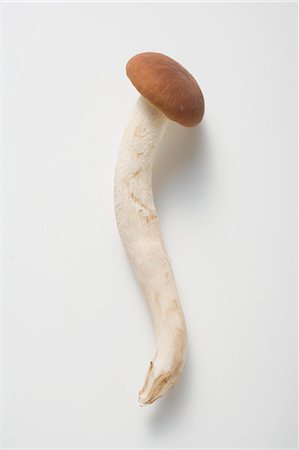 simsearch:659-03526248,k - A pioppini mushroom (Italy) Stock Photo - Premium Royalty-Free, Code: 659-03526239