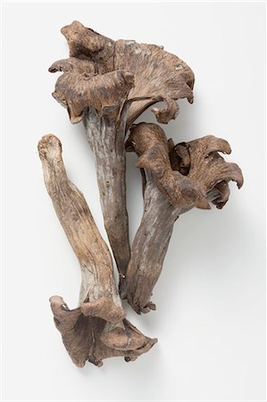 simsearch:659-03526248,k - Three black chanterelles Stock Photo - Premium Royalty-Free, Code: 659-03526244