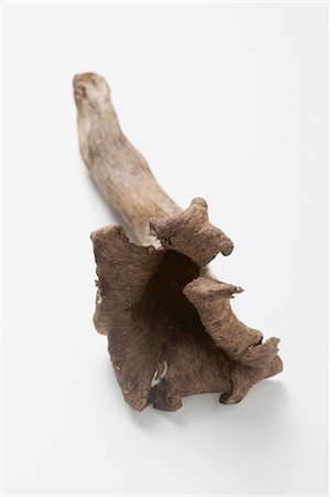 simsearch:659-03526248,k - A black chanterelle Stock Photo - Premium Royalty-Free, Code: 659-03526242