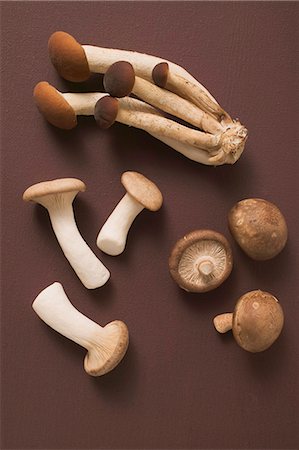 simsearch:659-03526248,k - King oyster mushrooms, pioppini and shiitake mushrooms Stock Photo - Premium Royalty-Free, Code: 659-03526326