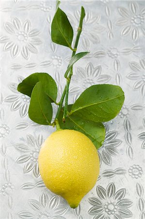 single lemon - Fresh lemon with part of branch Stock Photo - Premium Royalty-Free, Code: 659-03527211