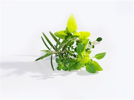 Small bunch of herbs (oregano, rosemary, marjoram, thyme) Stock Photo - Premium Royalty-Free, Code: 659-03527476