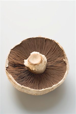 simsearch:659-03526248,k - Portobello mushroom from below Stock Photo - Premium Royalty-Free, Code: 659-03528223