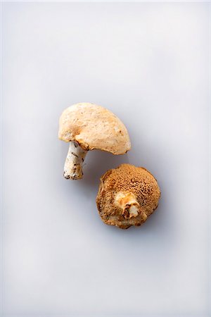 simsearch:659-03526248,k - Two wood hedgehog mushrooms Stock Photo - Premium Royalty-Free, Code: 659-03528910