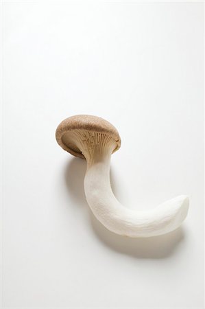 simsearch:659-03526248,k - A king oyster mushroom Stock Photo - Premium Royalty-Free, Code: 659-03529347