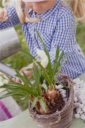 daffodil flower - Little girl watering narcissi in wicker basket Stock Photo - Premium Royalty-Free, Code: 659-03529809