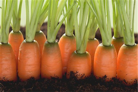 earth no people - Carrots in soil Stock Photo - Premium Royalty-Free, Code: 659-03522012