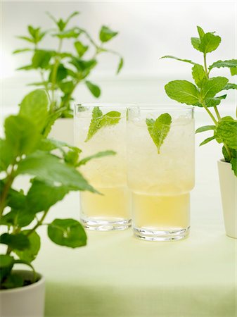 peppermint - Minted Bourbon (Bourbon with mint, syrup and soda water) Stock Photo - Premium Royalty-Free, Code: 659-03522650