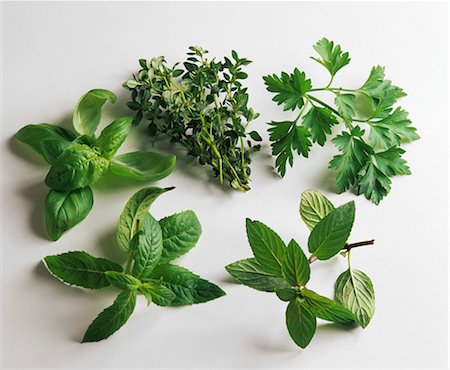 parsley - Still life with various culinary herbs Stock Photo - Premium Royalty-Free, Code: 659-03534698