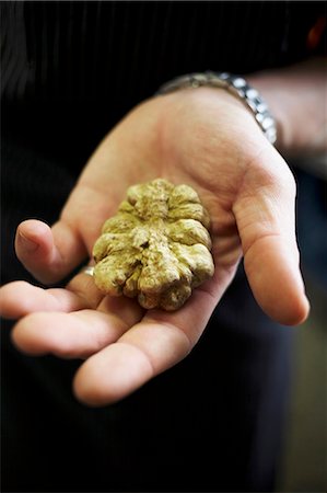 Hand holding a white Alba truffle Stock Photo - Premium Royalty-Free, Code: 659-03535232