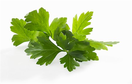 parsley - Flat parsley leaves Stock Photo - Premium Royalty-Free, Code: 659-03535323
