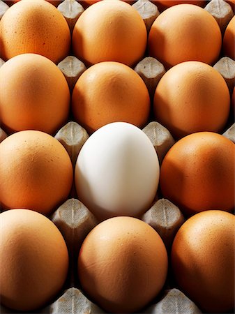 egg box - Eggs in an egg box Stock Photo - Premium Royalty-Free, Code: 659-03535540