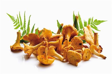 simsearch:659-03526248,k - Fresh chanterelles Stock Photo - Premium Royalty-Free, Code: 659-03536515