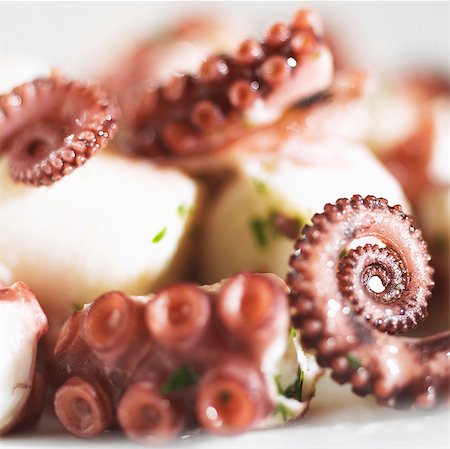 Octopus salad Stock Photo - Premium Royalty-Free, Code: 659-03533005