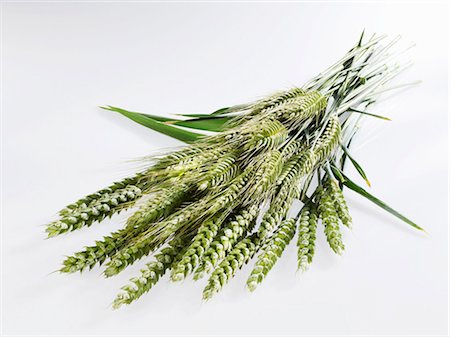 simsearch:659-07027144,k - Ears of wheat and rye Stock Photo - Premium Royalty-Free, Code: 659-03533342