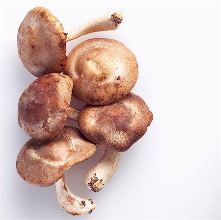 simsearch:659-03526248,k - Whole Shiitake Mushrooms on White Stock Photo - Premium Royalty-Free, Code: 659-03533800