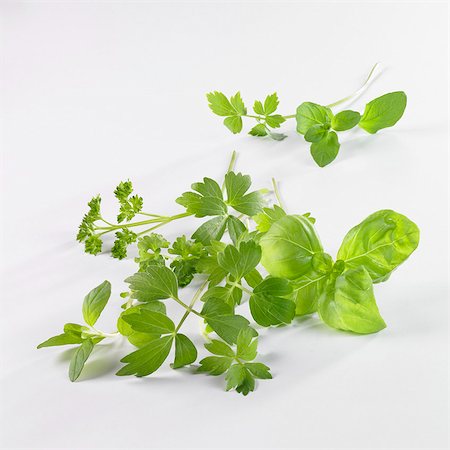 parsley - Lovage, basil and parsley Stock Photo - Premium Royalty-Free, Code: 659-03533987