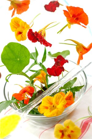 Rocket and edible flower salad Foto de stock - Sin royalties Premium, Código: 652-05808152