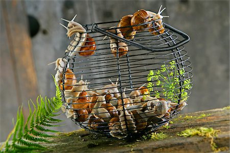 snail - Basket of Bourgogne snails Stock Photo - Premium Royalty-Free, Code: 652-05808289