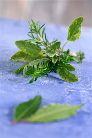 Bunch of fresh herbs Stock Photo - Premium Royalty-Free, Code: 652-05808306