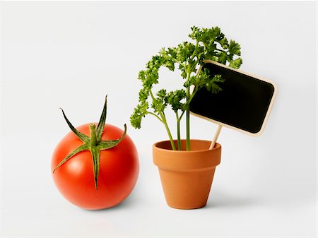 Small pot of curly parsley with sign,tomato Stock Photo - Premium Royalty-Free, Code: 652-05808542