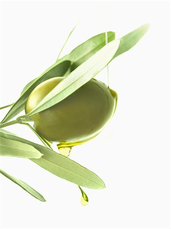 flowing - Olive and oil on an olive branch on a white background Stock Photo - Premium Royalty-Free, Code: 652-06819263
