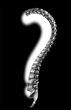 Spine question mark Stock Photo - Premium Royalty-Free, Code: 671-02092145