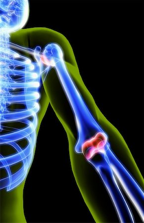 elbow - The elbow and shoulder joints Stock Photo - Premium Royalty-Free, Code: 671-02092189
