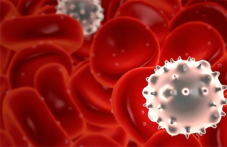 red blood cell - Blood cells Stock Photo - Premium Royalty-Free, Code: 671-02101267