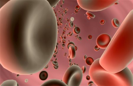 Red blood cells Stock Photo - Premium Royalty-Free, Code: 671-02101462
