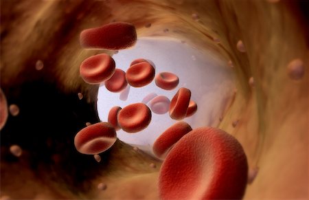 red blood cell - Sang Photographie de stock - Premium Libres de Droits, Code: 671-02101577