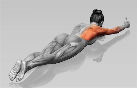 Arm-leg extensions (Part 2 of 2) Stock Photo - Premium Royalty-Free, Code: 671-02102054