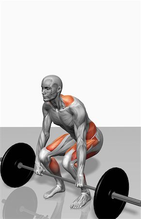 Barbell deadlift (Part 2 of 2) Stock Photo - Premium Royalty-Free, Code: 671-02102069