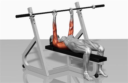stabilising muscles - Bench press (Part 1 of 2) Stock Photo - Premium Royalty-Free, Code: 671-02102089