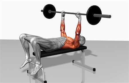 Overhead barbell triceps extension (Part 1 of 2) Stock Photo - Premium Royalty-Free, Code: 671-02102185