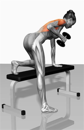 dumbbell bent over row - One arm dumbbell row (Part 1 of 2) Stock Photo - Premium Royalty-Free, Code: 671-02102210