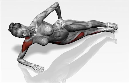deltoid - Side plank exercise Stock Photo - Premium Royalty-Free, Code: 671-02102233