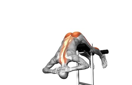 stabilising muscles - Back extensions (Part 2 of 2) Stock Photo - Premium Royalty-Free, Code: 671-02102702