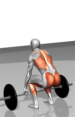 stabilising muscles - Barbell deadlift (Part 2 of 2) Stock Photo - Premium Royalty-Free, Code: 671-02102715