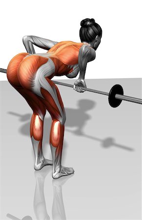 stabilising muscles - Barbell bent over row exercises (Part 1 of 2) Stock Photo - Premium Royalty-Free, Code: 671-02102723