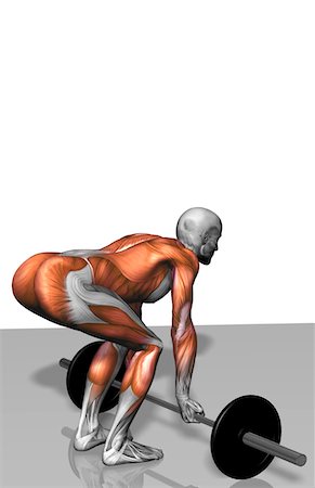 deltoid - Romanian deadlift (Part 1 of 2) Stock Photo - Premium Royalty-Free, Code: 671-02102869