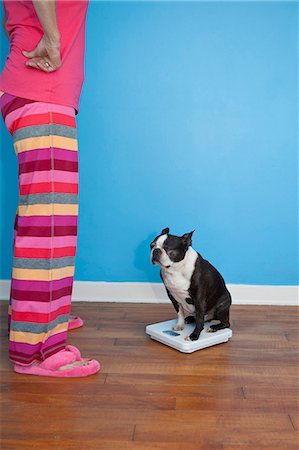 Woman looking at dog sitting on scales Stock Photo - Premium Royalty-Free, Code: 673-06025324