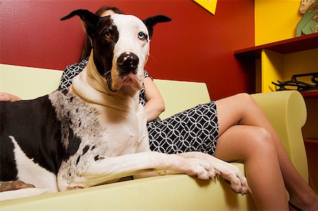 Woman sitting on couch with Great Dane Stock Photo - Premium Royalty-Free, Code: 673-02139250