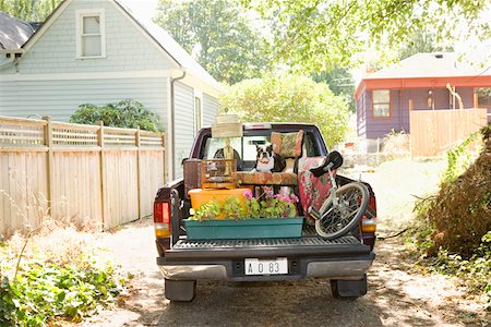 Loaded pickup and dog in driveway Stock Photo - Premium Royalty-Free, Code: 673-02139932