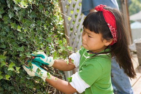 Little girl trimming ivy outside Stock Photo - Premium Royalty-Free, Code: 673-02140517