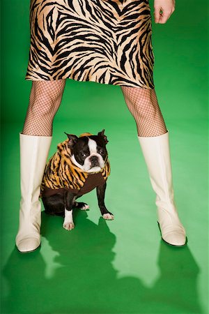 Low section of woman in animal print with dog Stock Photo - Premium Royalty-Free, Code: 673-02140949