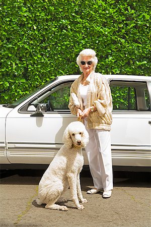 Senior woman and dog next to car Stock Photo - Premium Royalty-Free, Code: 673-02143198